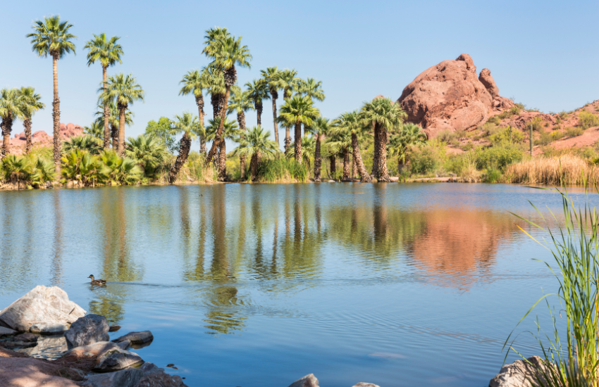 Phoenix Water Quality: What You Need to Know in 2025