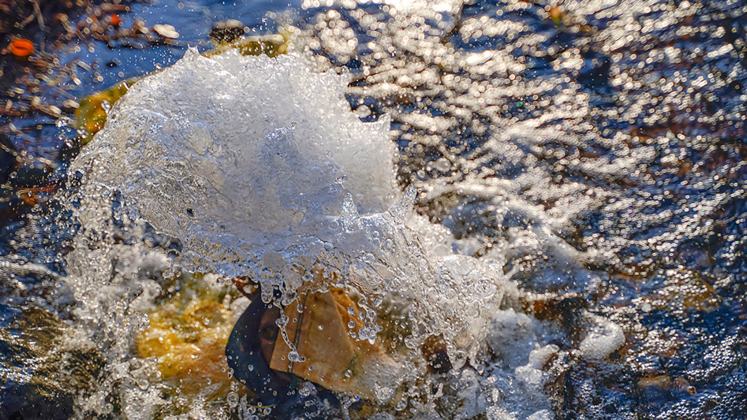 3 Health Reasons Why You Need to Install a Well Water Filtration System