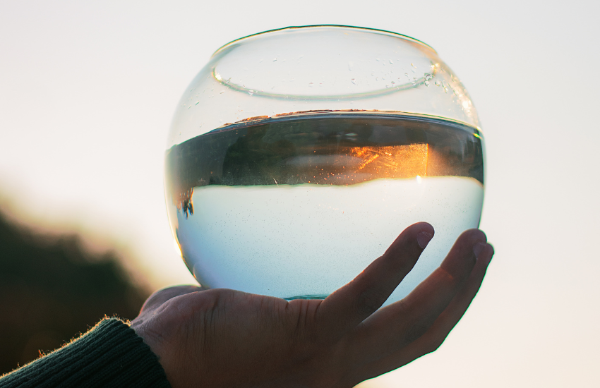 The Importance of Water Quality: Why It Matters and How to Improve It