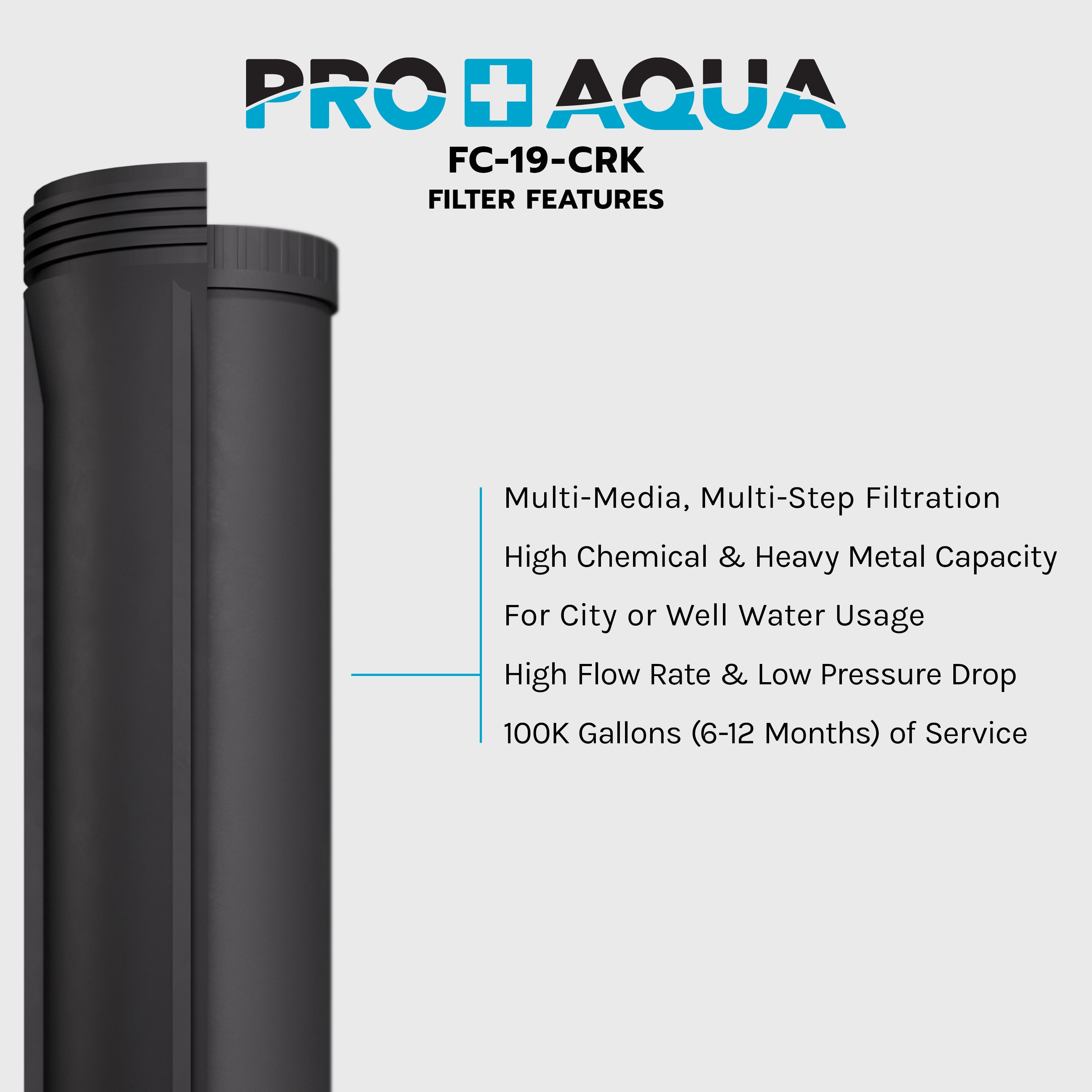 City and Well Water Whole House Heavy Metals and Odor Filter