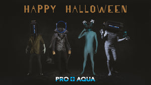 Happy Halloween!